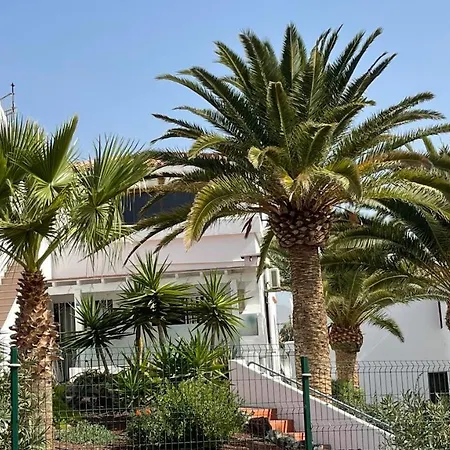 Amarilla Golf San Miguel de Abona